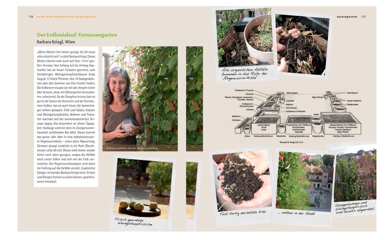 Bild: 9783706624947 | Handbuch Bio-Balkongarten | Andrea Heistinger | Buch | 302 S. | 2012