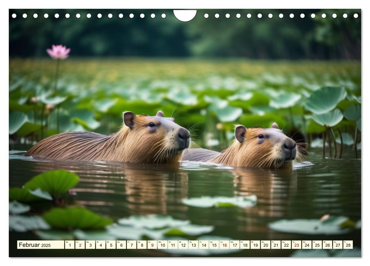 Bild: 9783457143759 | Capybaras - Wasserschweine die Herren der Gräser (Wandkalender 2025...