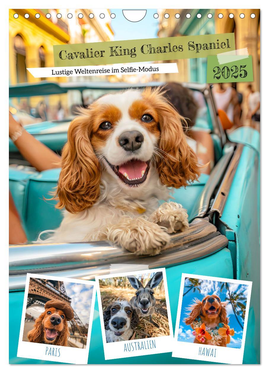 Cover: 9783383763441 | Cavalier King Charles Spaniel - Lustige Weltenreise im Selfie-Modus...