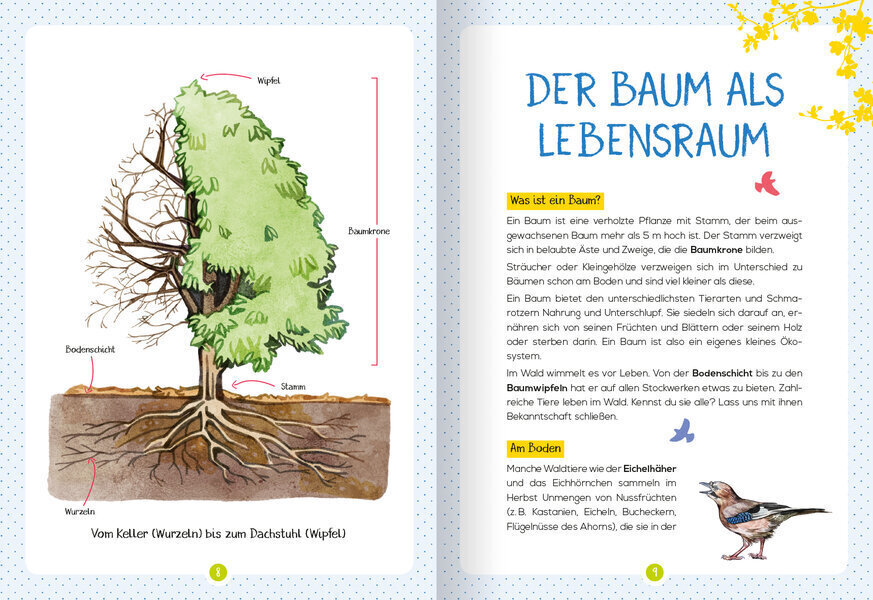 Bild: 9783741524677 | Mein Naturführer - Waldtiere | Beobachten - verstehen - schützen