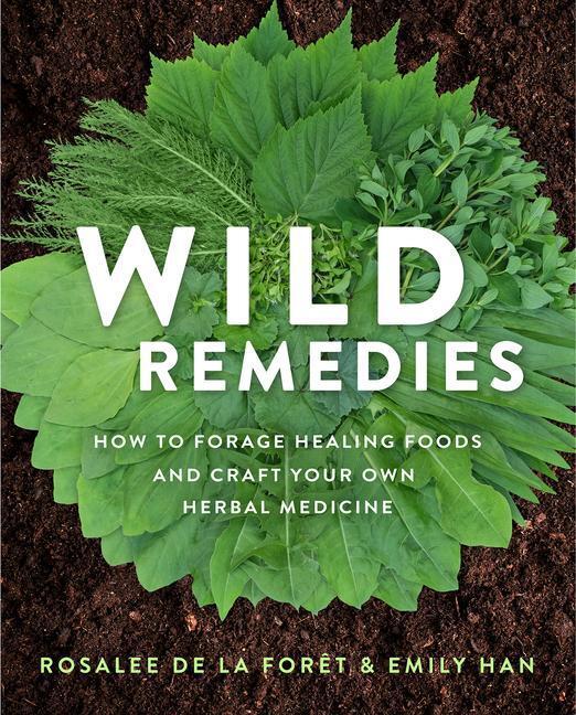 Cover: 9781401956882 | Wild Remedies | Rosalee De La Foret (u. a.) | Taschenbuch | Englisch