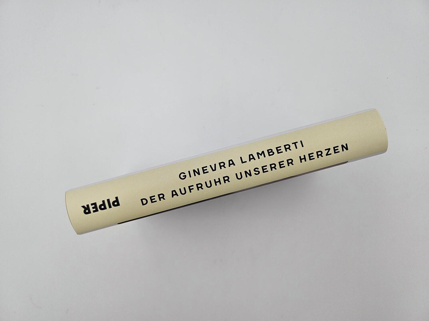 Bild: 9783492072304 | Der Aufruhr unserer Herzen | Ginevra Lamberti | Buch | 272 S. | 2024