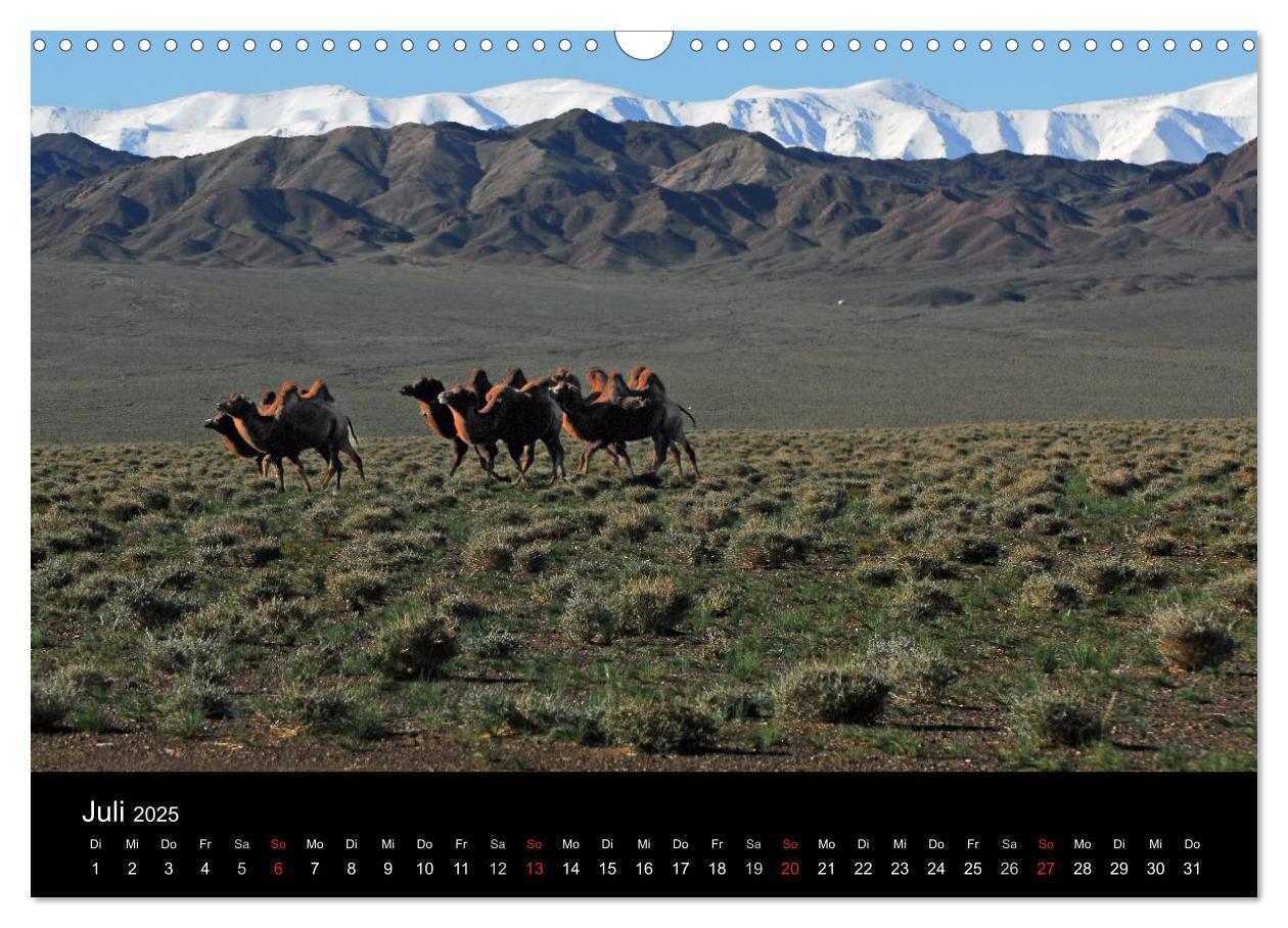 Bild: 9783435718610 | Einsame Mongolei (Wandkalender 2025 DIN A3 quer), CALVENDO...