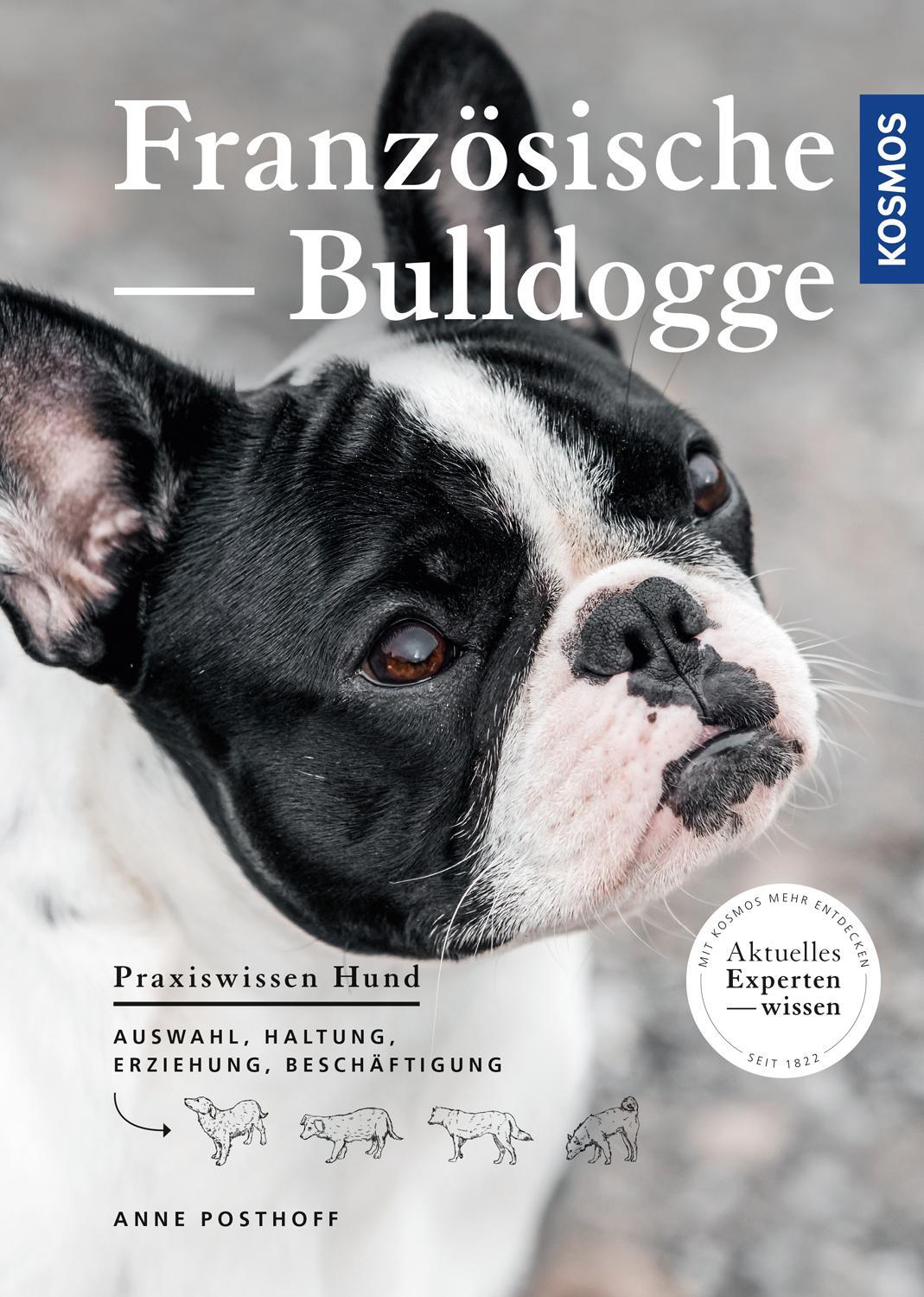 Cover: 9783440162965 | Französische Bulldogge | Anne Posthoff | Taschenbuch | Deutsch | 2019