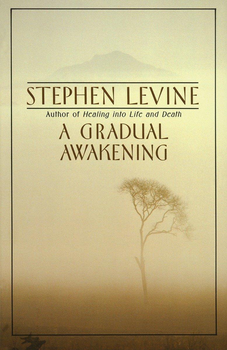 Cover: 9780385262187 | A Gradual Awakening | Stephen Levine | Taschenbuch | Englisch | 1989