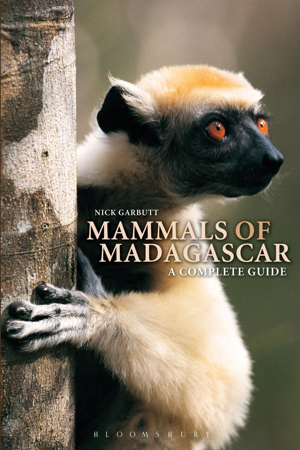 Cover: 9781472980274 | Mammals of Madagascar: A Complete Guide | Nick Garbutt | Taschenbuch