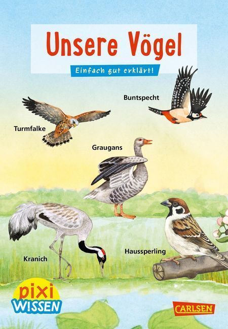Cover: 9783551242051 | Pixi Wissen 108: Unsere Vögel | Einfach gut erklärt | Bärbel Oftring