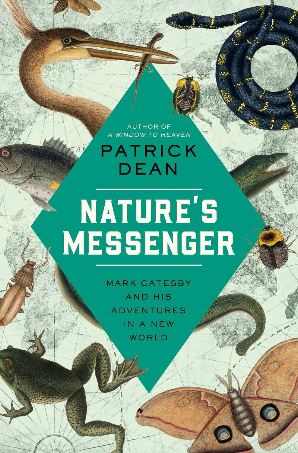 Cover: 9781639364138 | Nature's Messenger | Mark Catesby and His Adventures in a New World