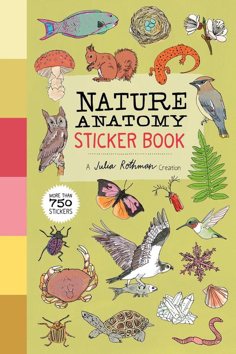 Cover: 9781635865363 | Nature Anatomy Sticker Book | Julia Rothman | Taschenbuch | Englisch