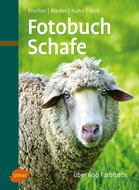 Cover: 9783800164172 | Fotobuch Schafe | Gerhard Fischer (u. a.) | Buch | Deutsch | 2011