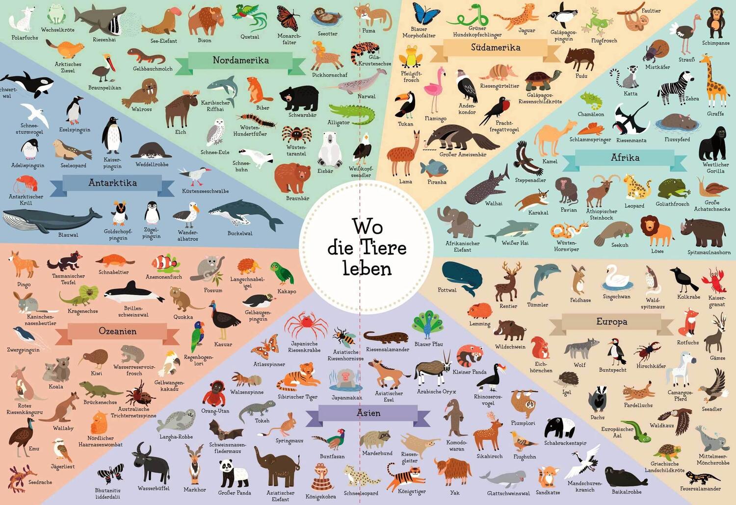 Bild: 9783809444619 | Zeichne deinen eigenen Tieratlas! Über 170 Tiere von 7 Kontinenten....
