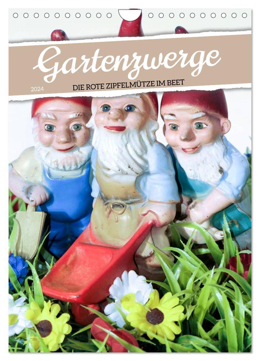 Cover: 9783675537156 | Gartenzwerge: Die rote Zipfelmütze im Beet (Wandkalender 2024 DIN...