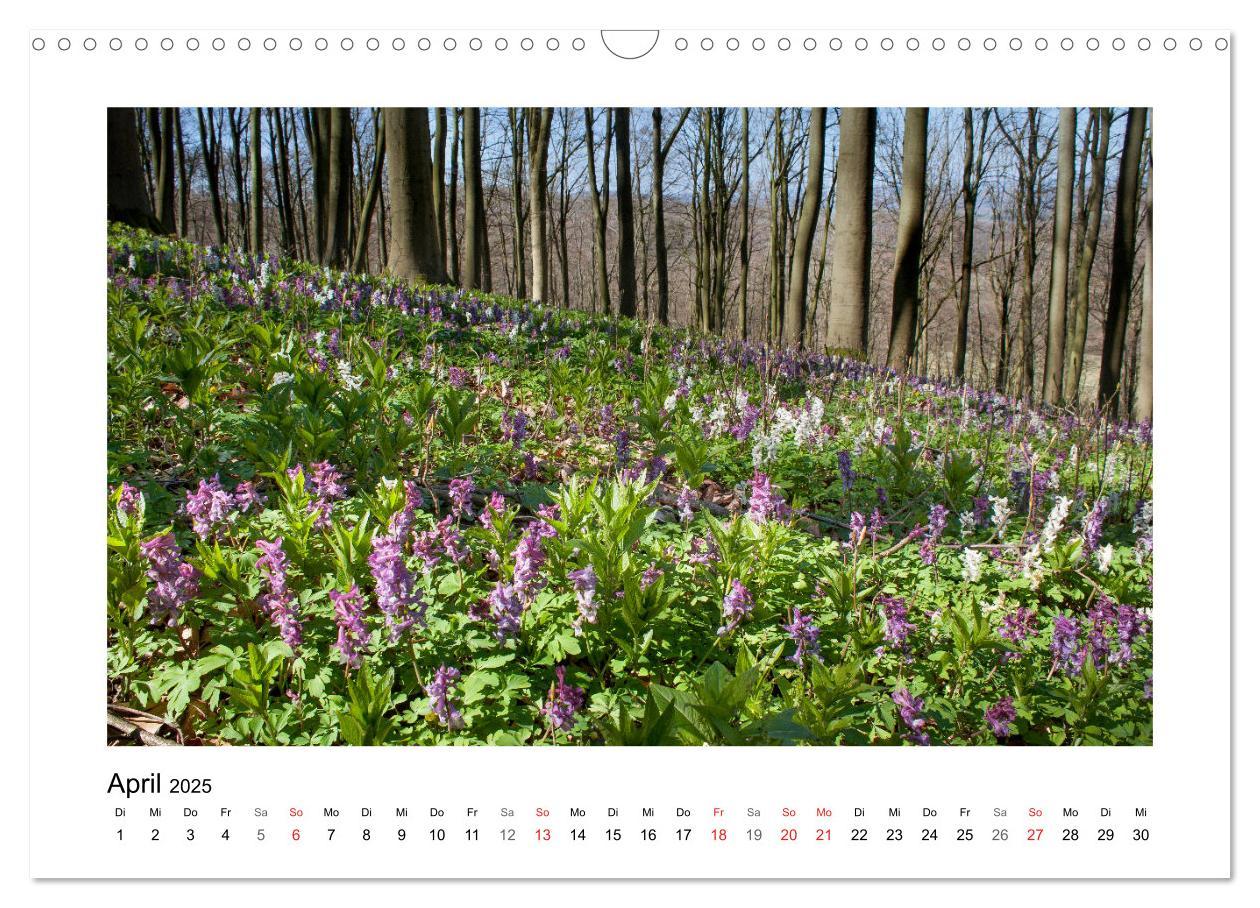 Bild: 9783435155606 | Impressionen aus Ostwestfalen-Lippe (Wandkalender 2025 DIN A3...