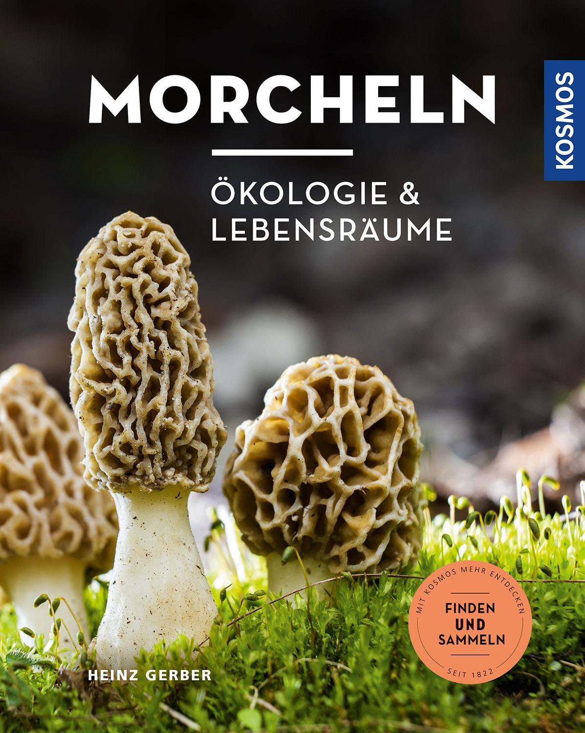 Cover: 9783440170168 | Morcheln | Ökologie und Lebensräume | Heinz Gerber | Taschenbuch