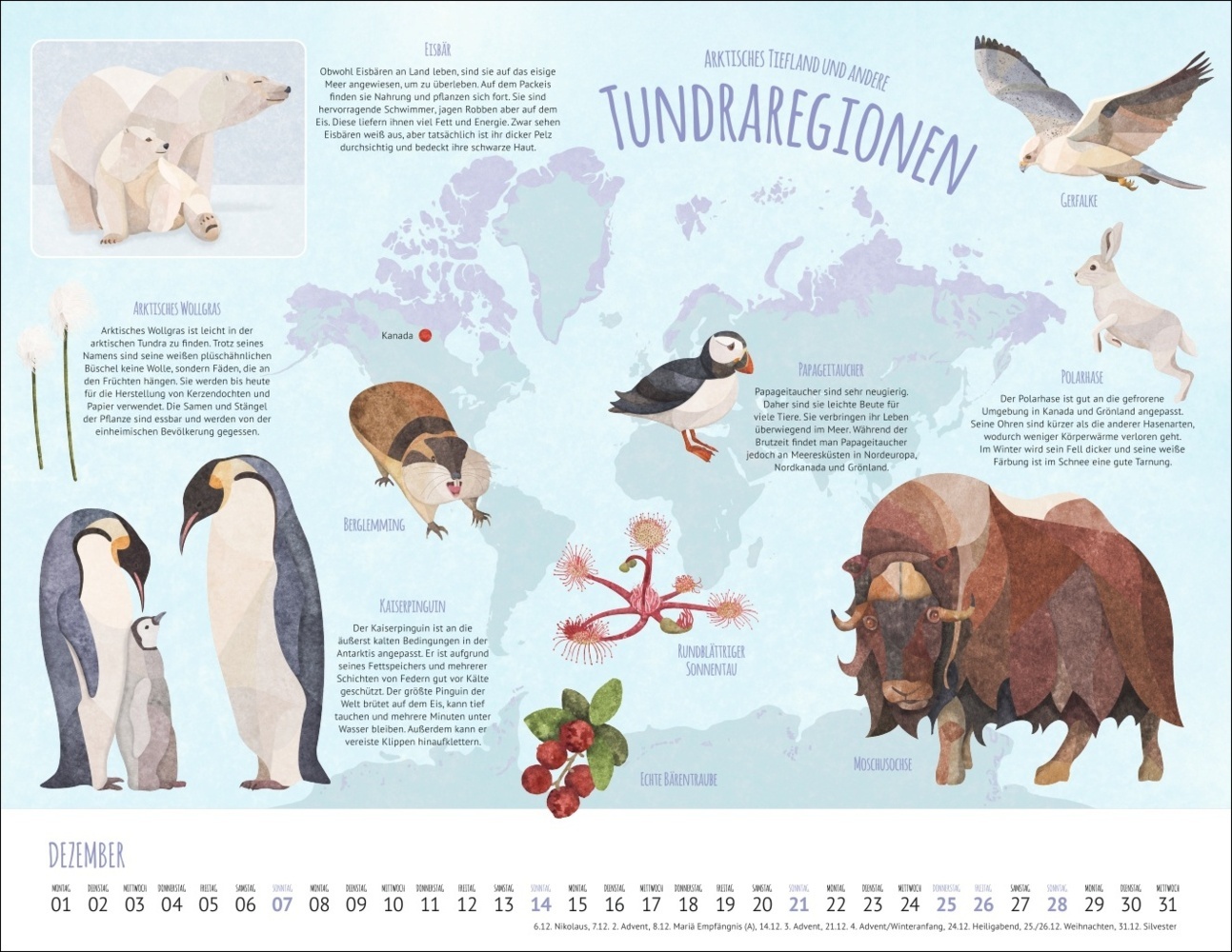 Bild: 9783839901557 | Wo Tiere und Pflanzen zu Hause sind Kalender 2025 - Biome der Welt