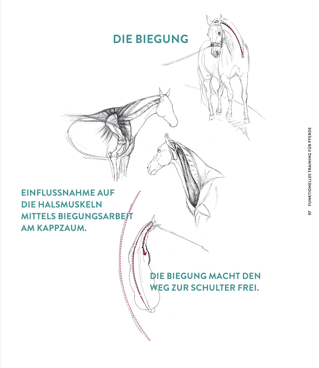 Bild: 9783275023066 | Die Kraft der Diagonalen | Gabriele Rachen-Schöneich (u. a.) | Buch