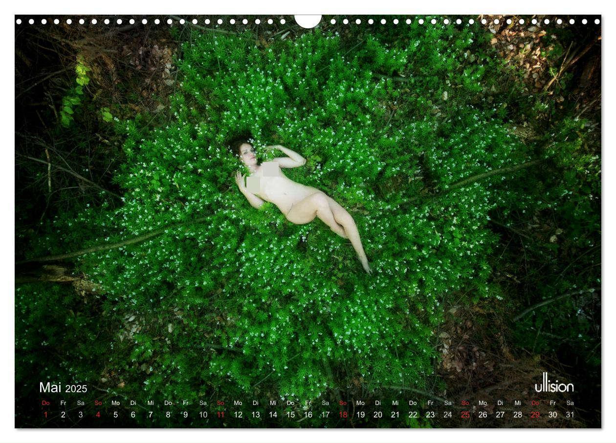 Bild: 9783435337491 | ZAUBERWALD Mystik der Natur (Wandkalender 2025 DIN A3 quer),...