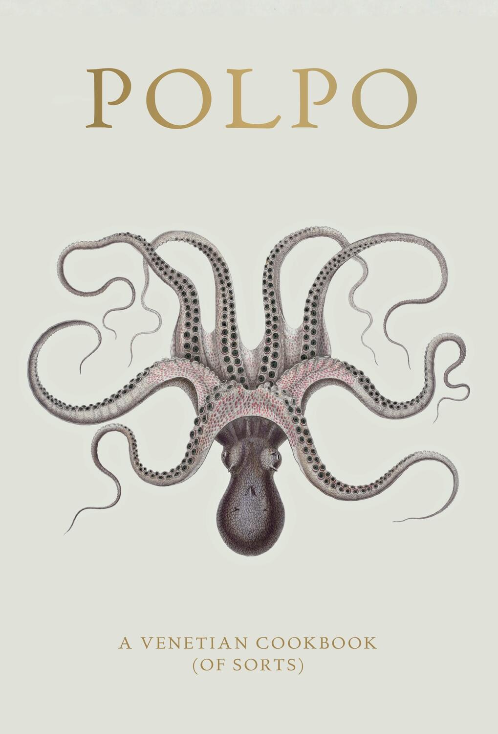 Cover: 9781408816790 | Polpo | A Venetian Cookbook (of Sorts) | Russell Norman | Buch | 2012