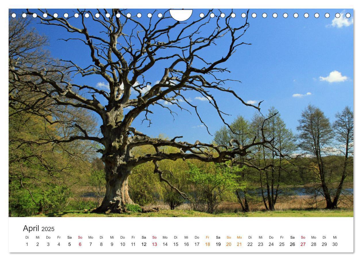 Bild: 9783435057962 | Faszination Natur - Bilder aus Mecklenburg-Vorpommern (Wandkalender...