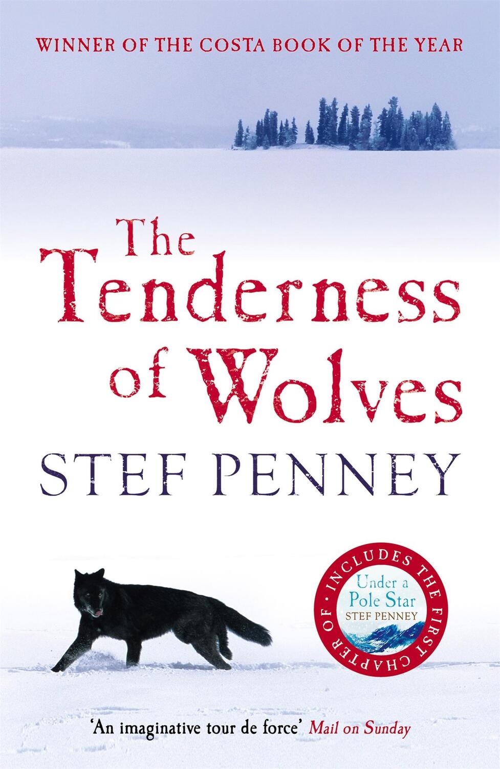 Cover: 9781847240675 | The Tenderness of Wolves | Stef Penney | Taschenbuch | 488 S. | 2007