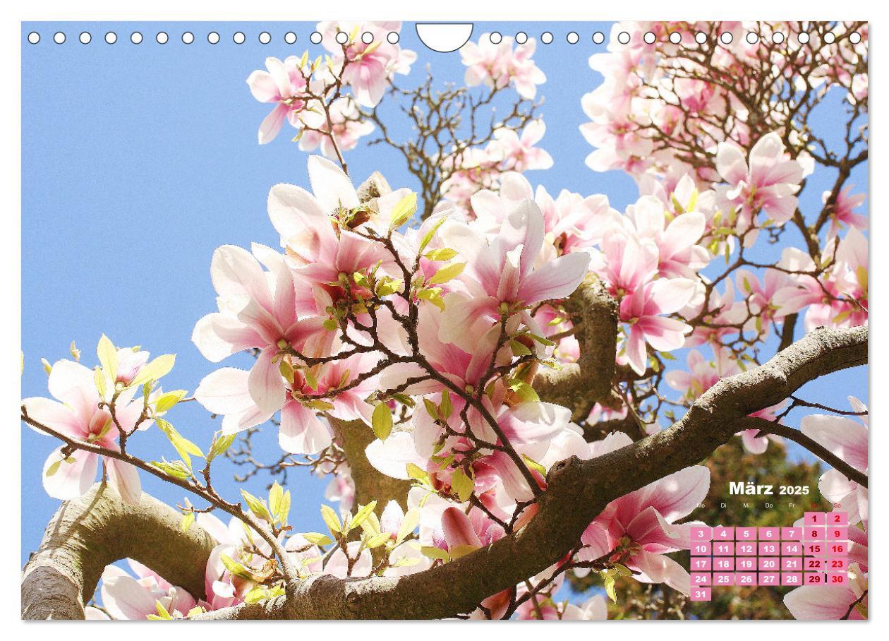 Bild: 9783383989384 | Urlaub im Garten (Wandkalender 2025 DIN A4 quer), CALVENDO...