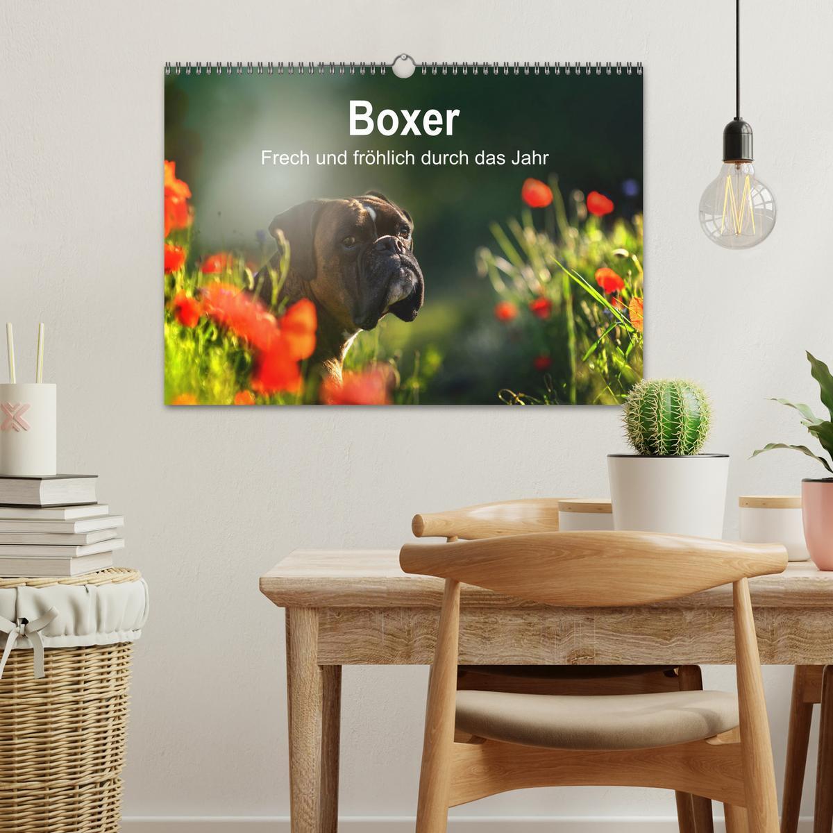 Bild: 9783435110667 | Boxer Frech und fröhlich durch das Jahr (Wandkalender 2025 DIN A3...