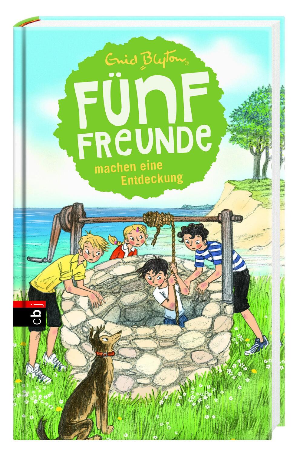 Bild: 9783570172162 | Fünf Freunde machen eine Entdeckung | Enid Blyton | Buch | 160 S.