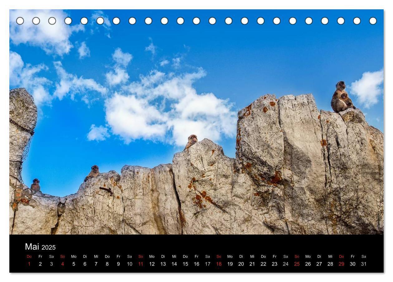 Bild: 9783435492879 | Gibraltar - der Affenfelsen (Tischkalender 2025 DIN A5 quer),...