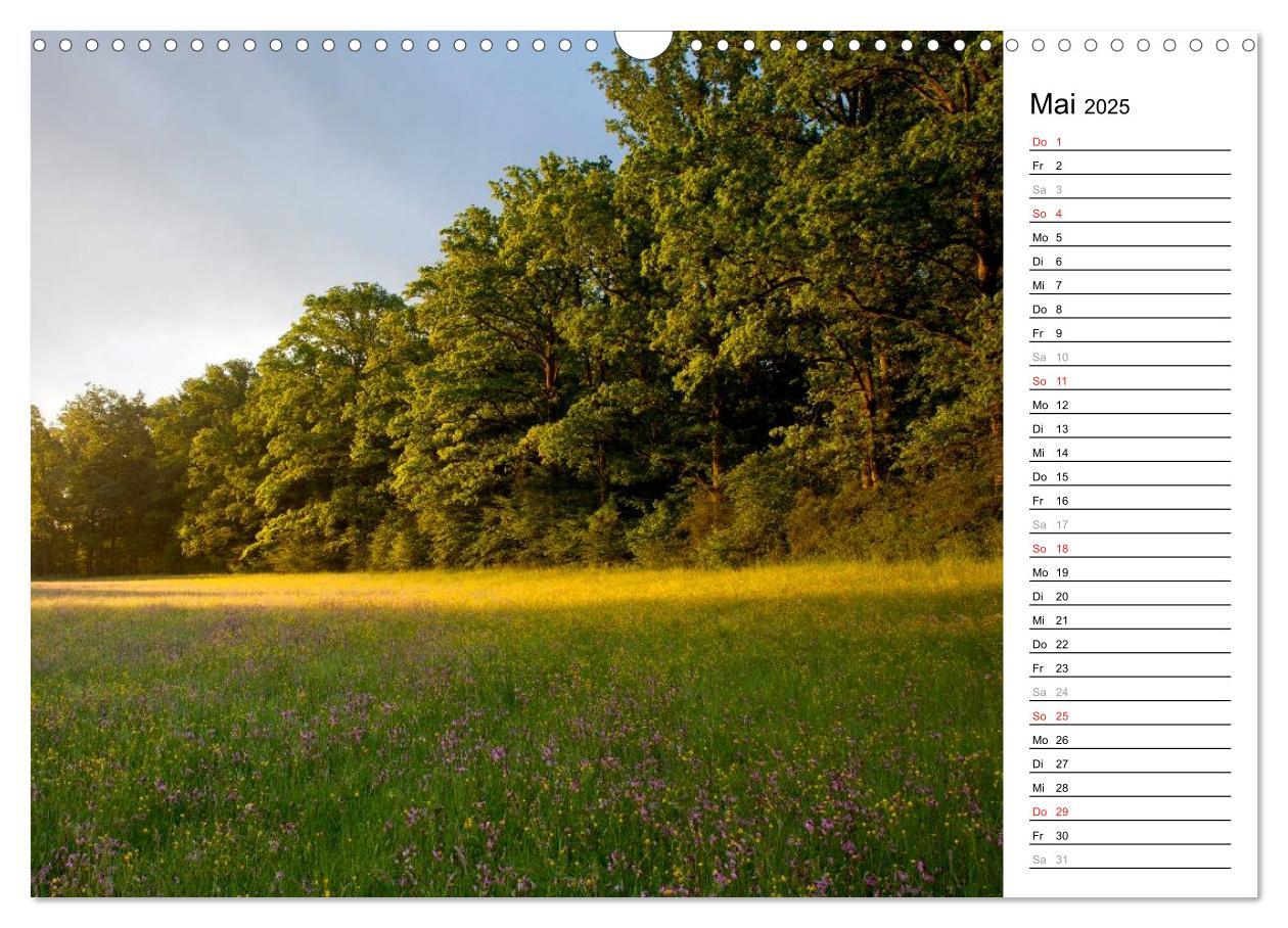 Bild: 9783435542062 | DER STEIGERWALD - Impressionen einer Landschaft (Wandkalender 2025...