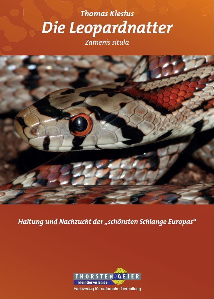 Cover: 9783944484075 | Die Leopardnatter Zamenis situla | Thomas Klesius | Taschenbuch | 2015