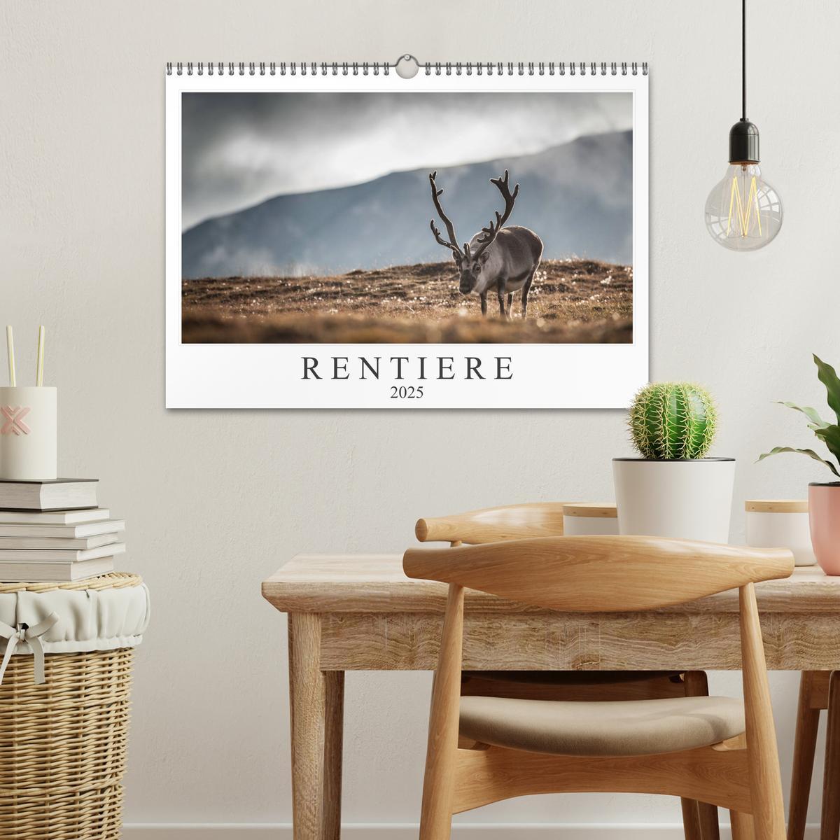 Bild: 9783435306671 | Rentiere (Wandkalender 2025 DIN A3 quer), CALVENDO Monatskalender