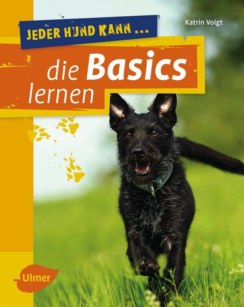 Cover: 9783800182916 | Jeder Hund kann die Basics lernen | Grunderziehung leicht gemacht
