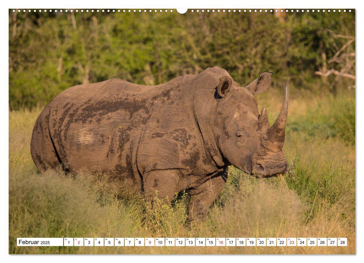 Bild: 9783435150915 | Wunderwelt der Tiere - Südafrika (Wandkalender 2025 DIN A2 quer),...