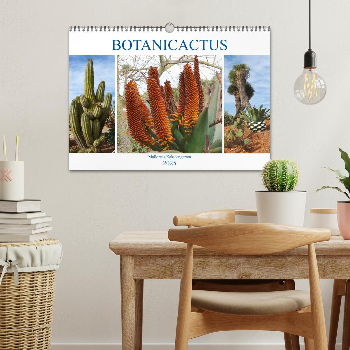 Bild: 9783435336579 | BOTANICACTUS Mallorcas Kakteengarten (Wandkalender 2025 DIN A3...