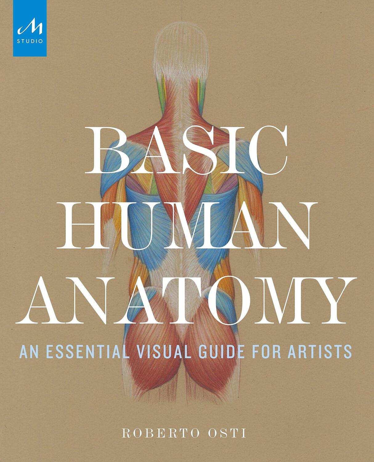Cover: 9781580934381 | Basic Human Anatomy | An Essential Visual Guide for Artists | Osti