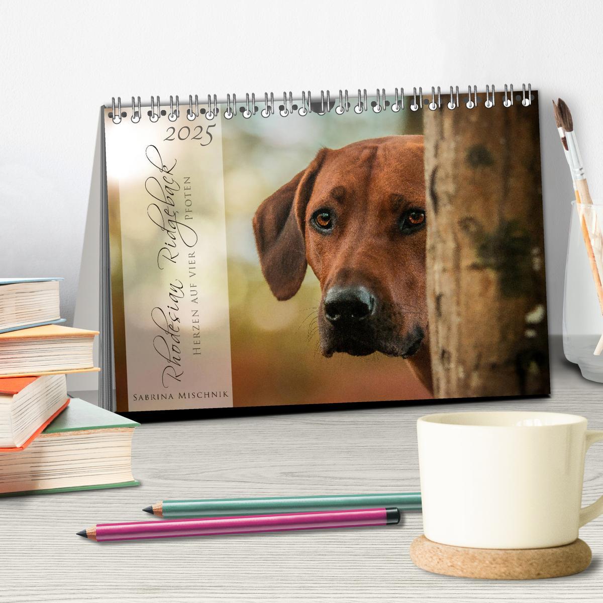 Bild: 9783435357253 | Rhodesian Ridgeback - Herzen auf vier Pfoten (Tischkalender 2025...