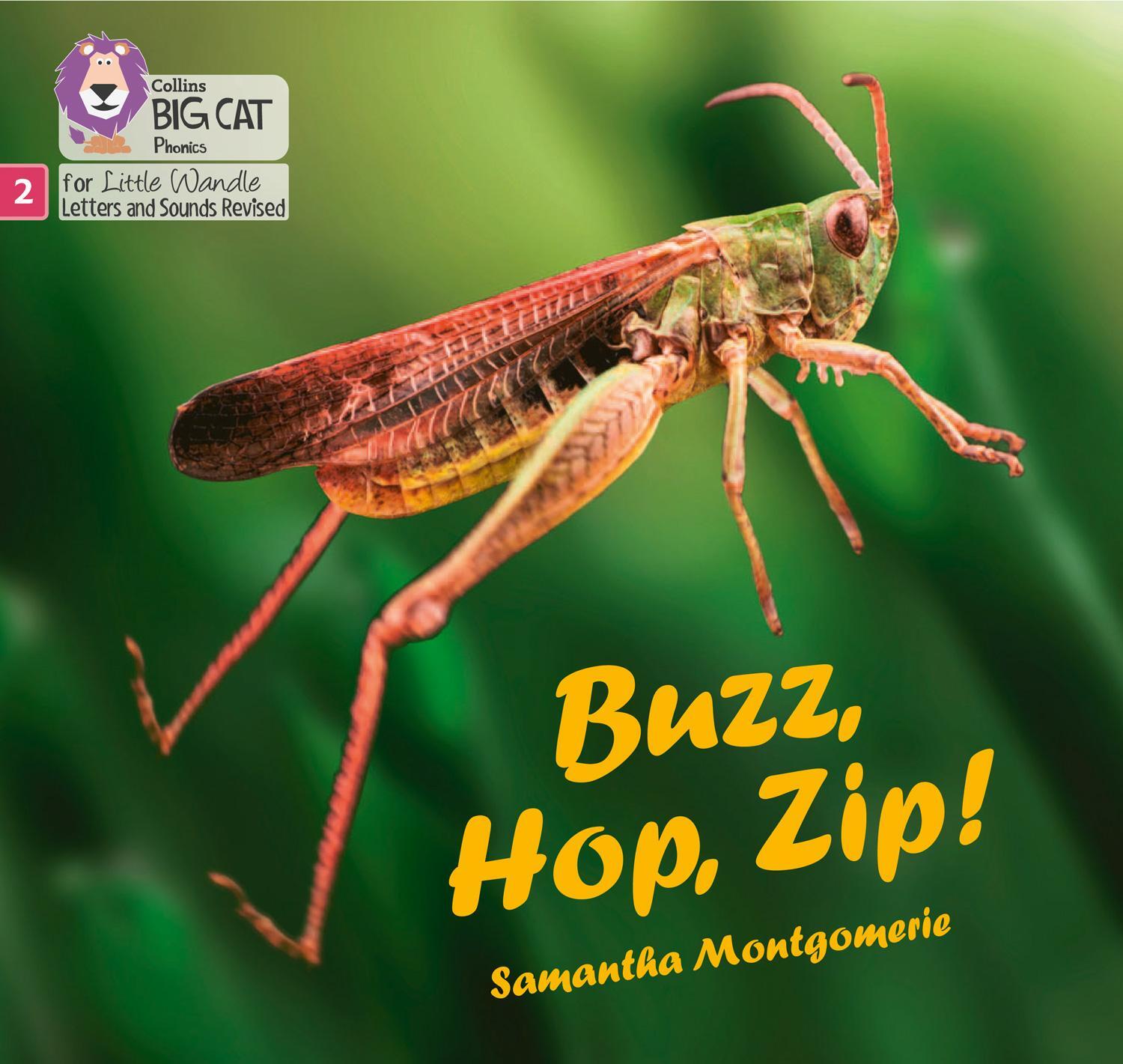 Cover: 9780008502478 | Buzz, Hop, Zip! | Phase 2 Set 5 | Samantha Montgomerie | Taschenbuch