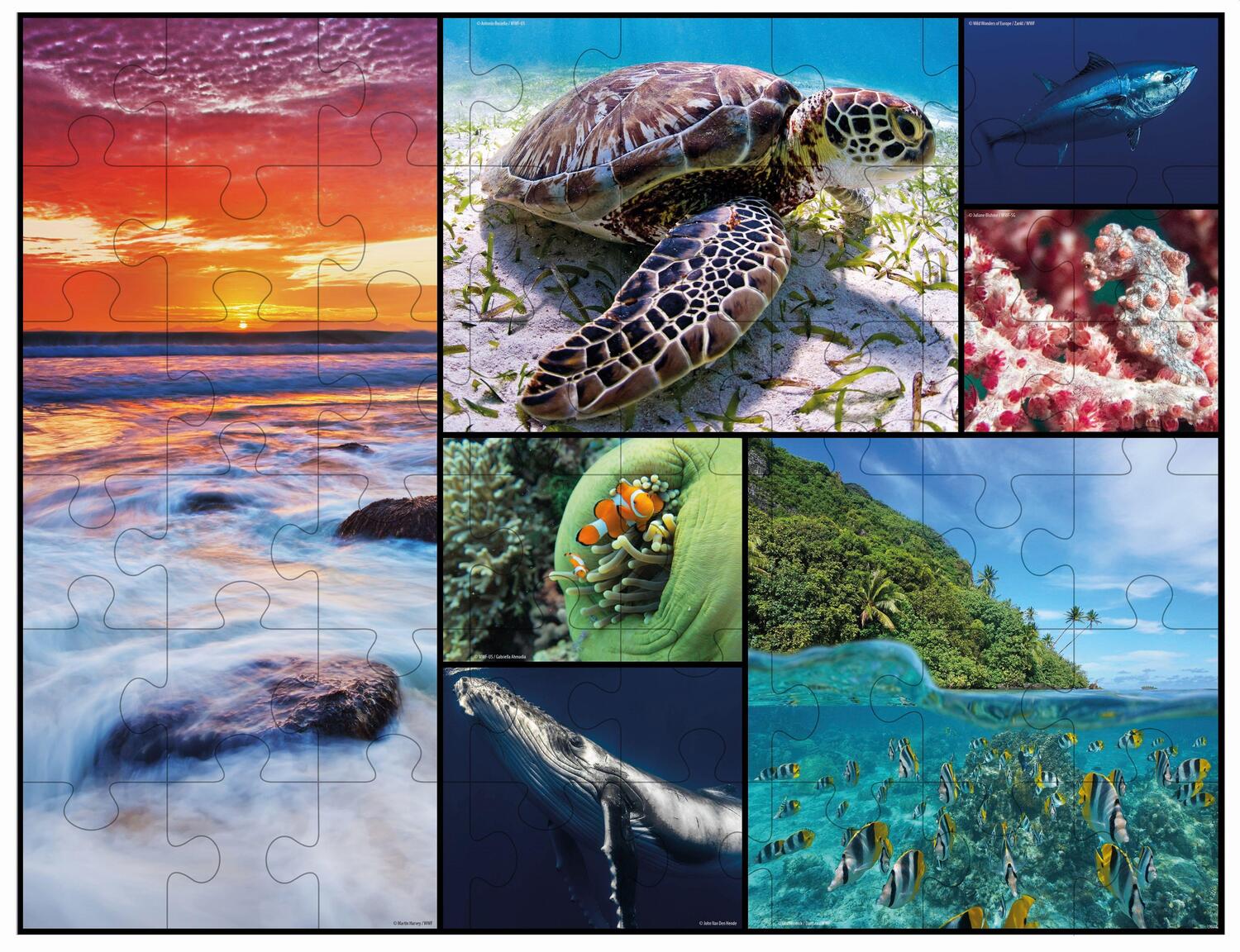 Bild: 4897049304819 | Ambassador - Bodenpuzzle Ozean 48 Teile | WWF-Collection | Ambassador