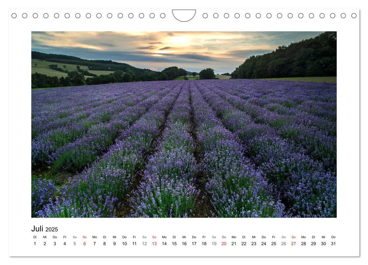 Bild: 9783435156207 | Impressionen aus Ostwestfalen-Lippe (Wandkalender 2025 DIN A4...