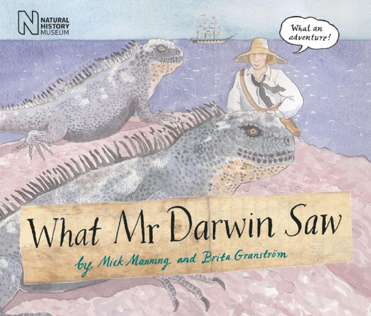 Cover: 9781847801074 | What Mr Darwin Saw | Mick Manning | Taschenbuch | Englisch | 2010