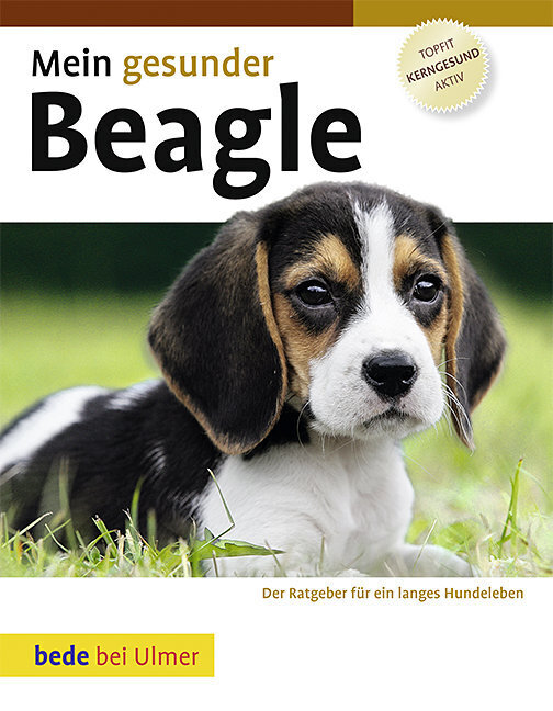 Cover: 9783800169559 | Mein gesunder Beagle | Paul Jordan | Buch | Bede | EAN 9783800169559