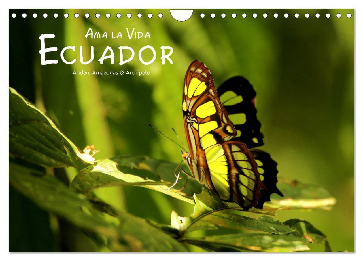 Cover: 9783675454002 | Ama la Vida Ecuador (Wandkalender 2024 DIN A4 quer), CALVENDO...