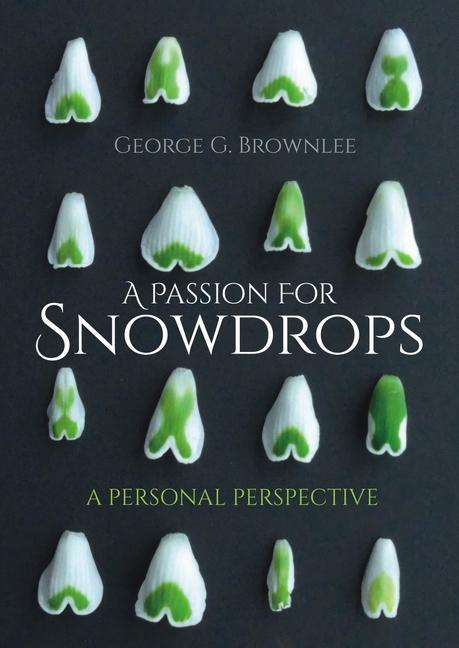 Cover: 9781849954938 | A Passion for Snowdrops | A Personal Perspective | George G Brownlee