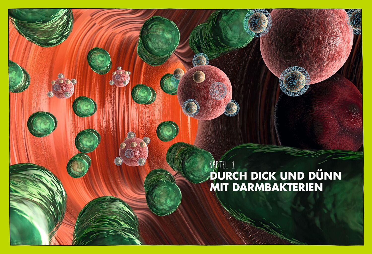 Bild: 9783517094229 | Schlank mit Darm | Das 6-Wochen-Programm. Das Praxisbuch | Taschenbuch