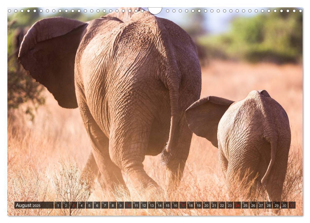 Bild: 9783435759897 | Kenia 2025 (Wandkalender 2025 DIN A3 quer), CALVENDO Monatskalender