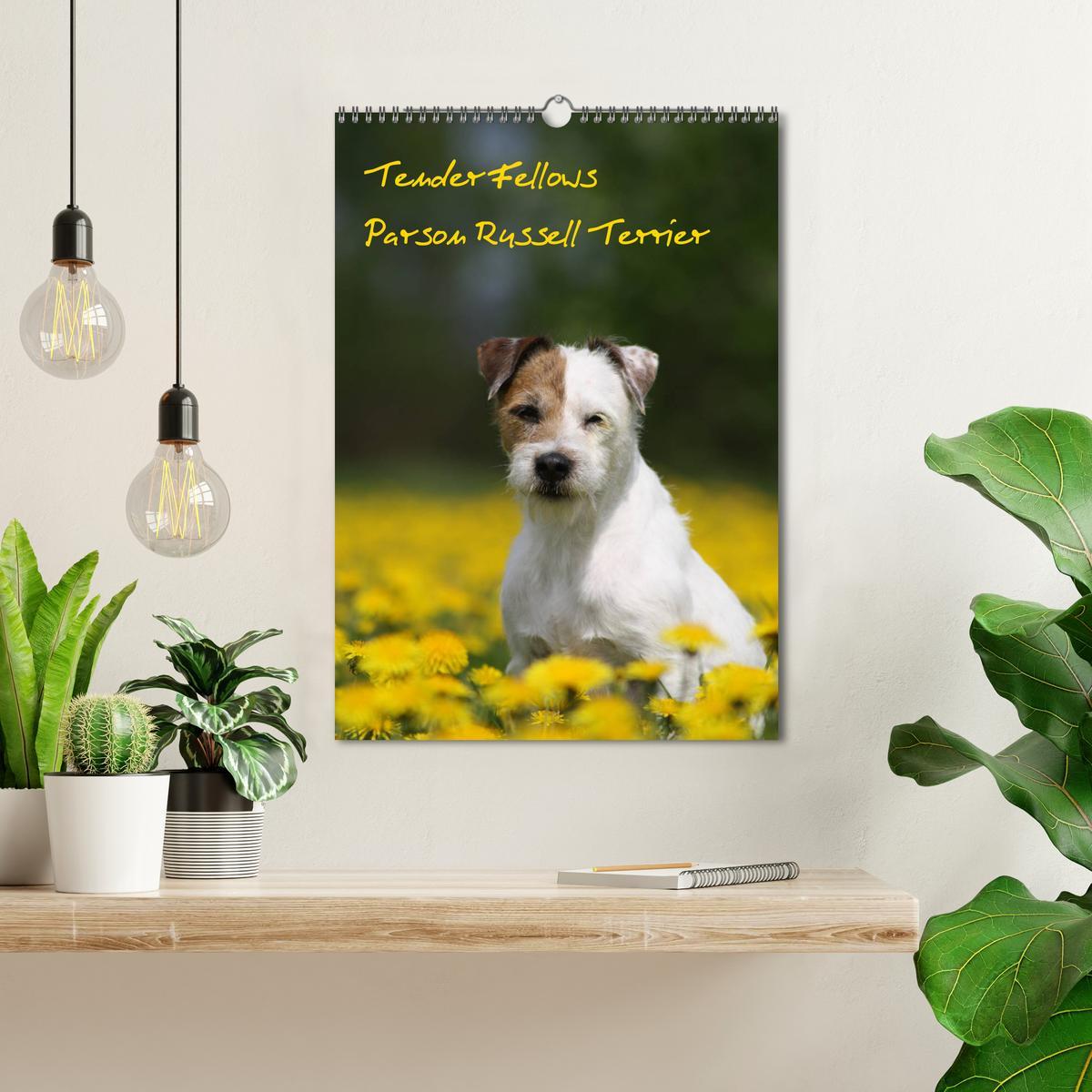 Bild: 9783435995592 | Tender Fellows - Parson Russell Terrier (Wandkalender 2025 DIN A3...