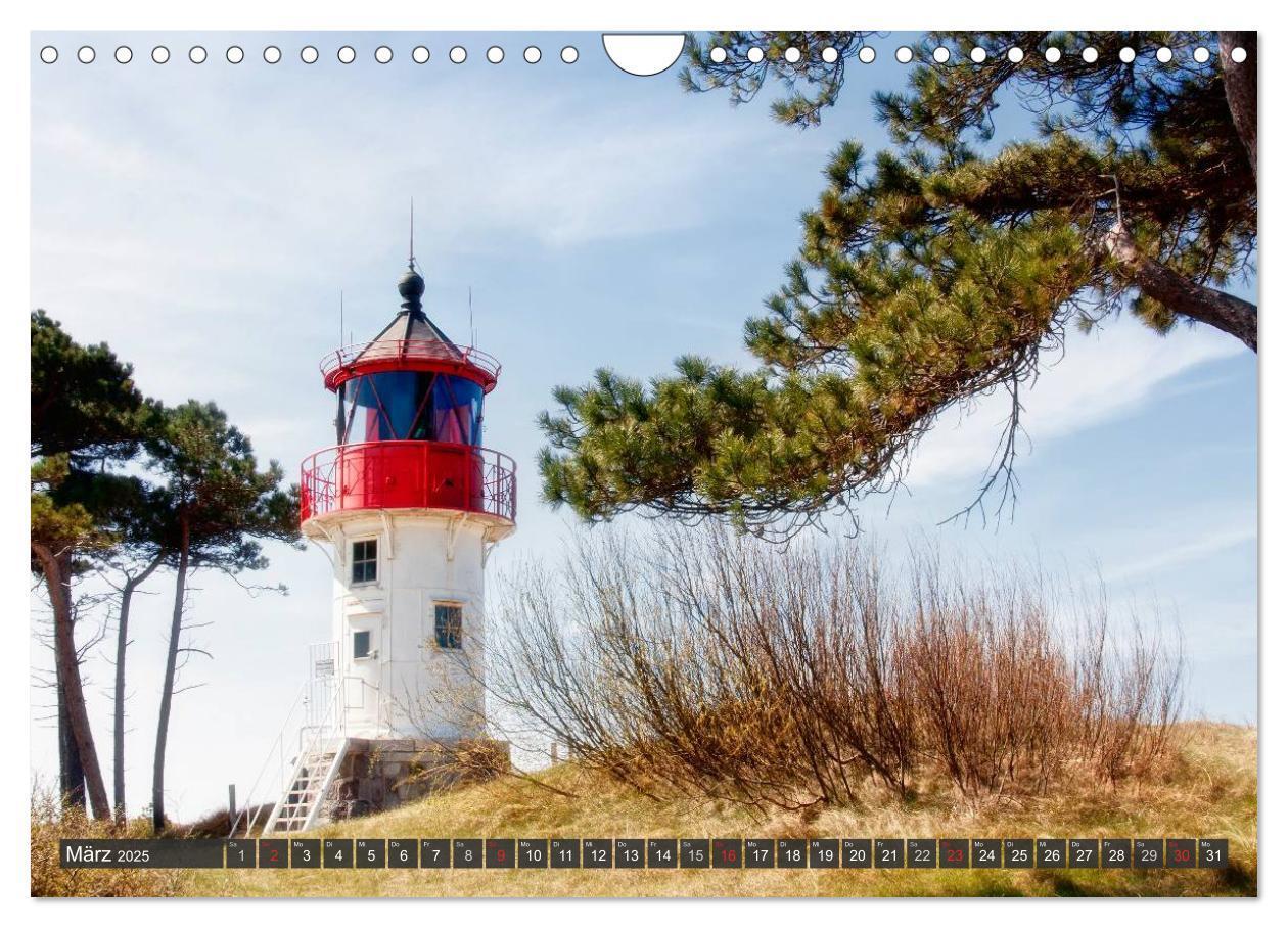 Bild: 9783435755813 | Insel Hiddensee (Wandkalender 2025 DIN A4 quer), CALVENDO...