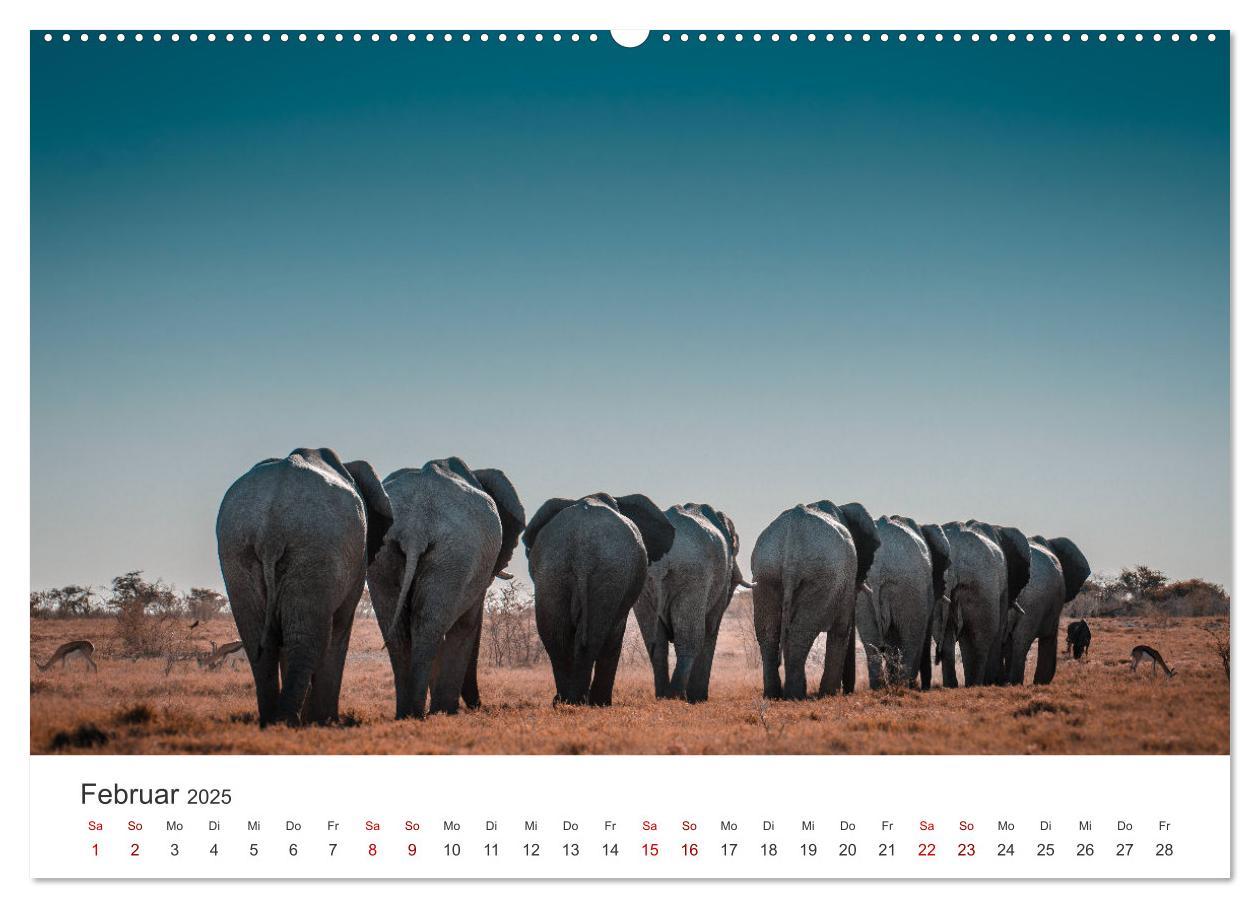 Bild: 9783383984877 | Namibia - Das wunderschöne Land am Atlantik. (Wandkalender 2025 DIN...