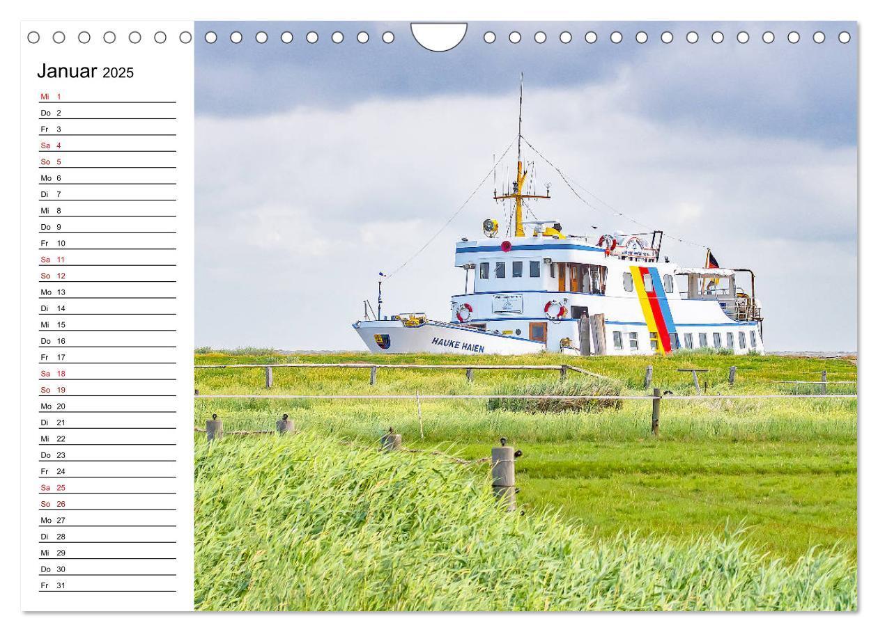 Bild: 9783435115648 | Hallig Hooge - Romantik Pur (Wandkalender 2025 DIN A4 quer),...