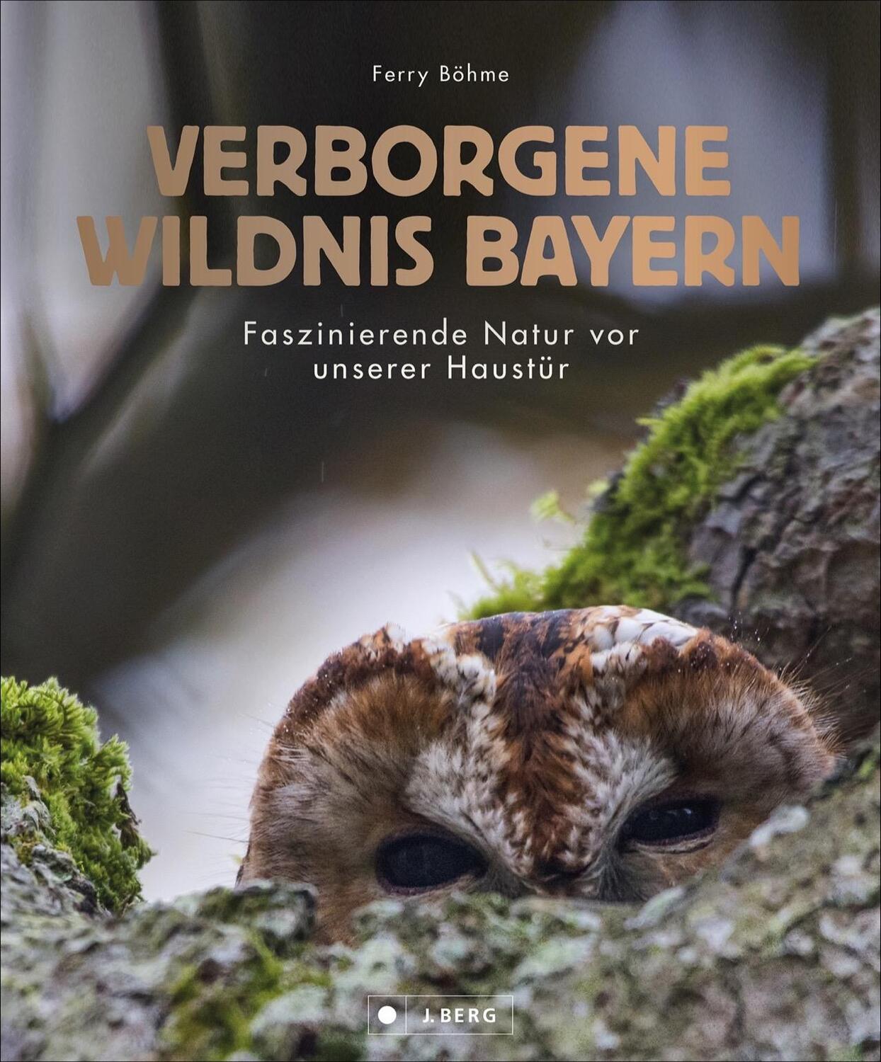 Cover: 9783862467372 | Verborgene Wildnis Bayern | Faszinierende Natur vor unserer Haustür
